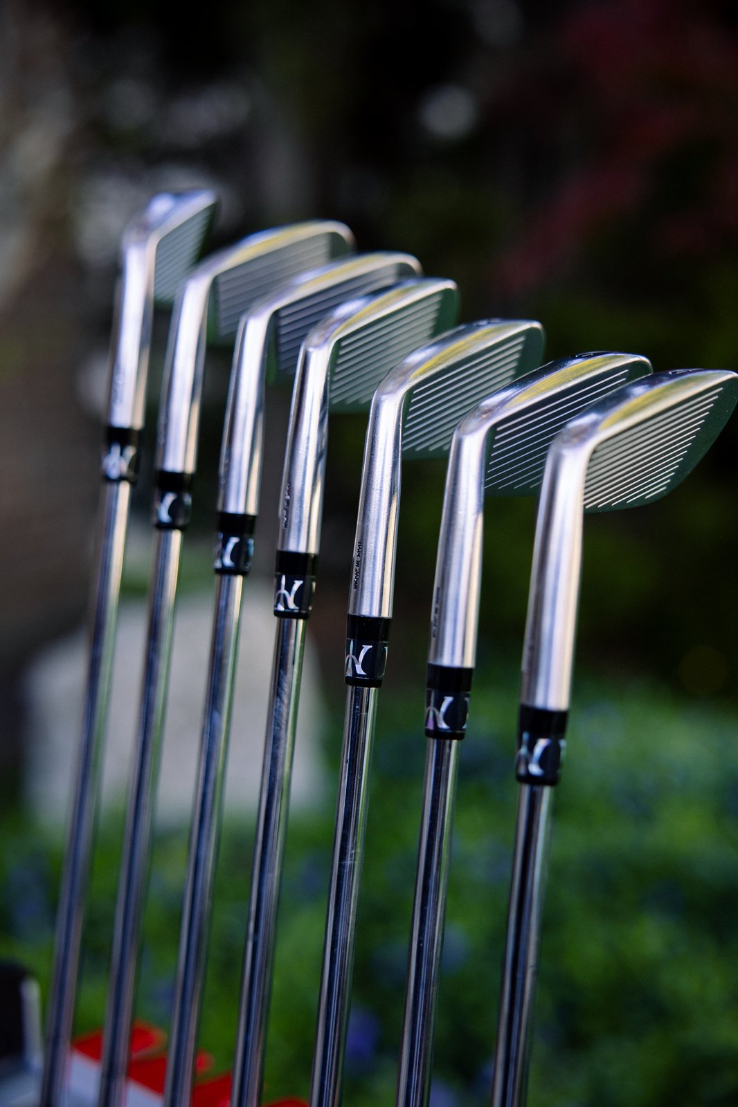 Iron set — cavity view